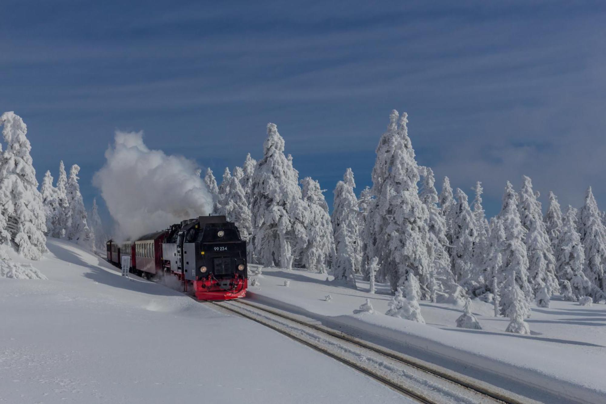 Fewo Kastanie Mit Balkon #Netflix #Innenstadtnaehe Von Harztraveler Бад-Гарцбург Екстер'єр фото